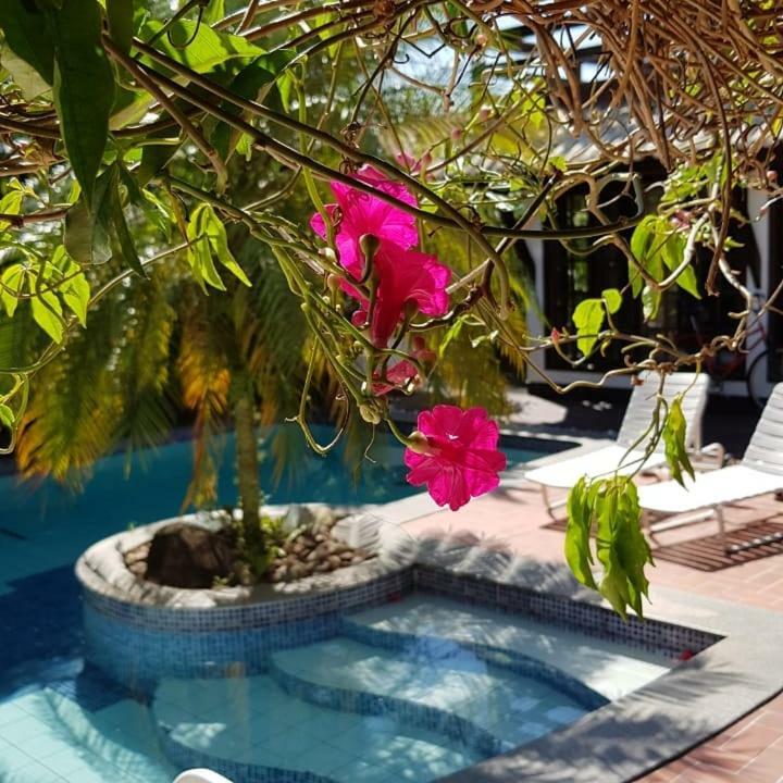 Guesthouse Mata da Praia Vitória Extérieur photo